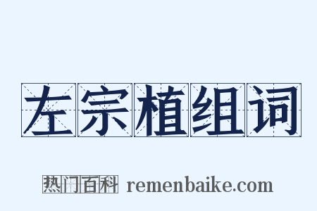 左宗植组词是什么意思的图片